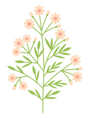 A branch with many delicate pink flowers and buds with leaves. Flat doodle style. Vector illustration.