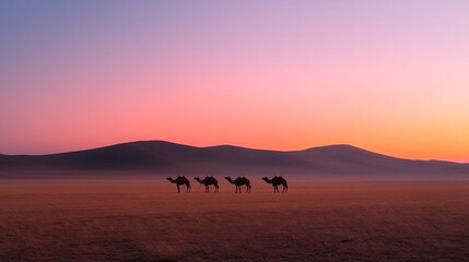 Fototapeta premium Silhouettes of camels caravan in sahara desert at sunset with purple and orange sky. Dramatic panoramic landscape with wild animals walking through sand dunes and copy space