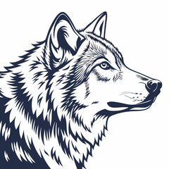 husky dog vector illustration © Jibon Krisno Ray