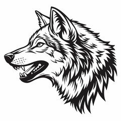 wolf head isolated on white