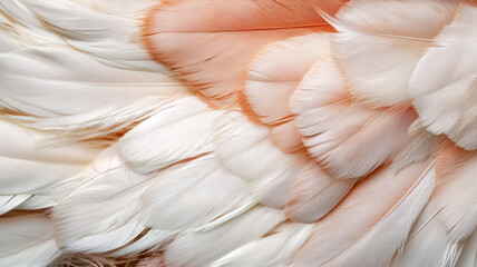Obraz premium A close-up view of soft, delicate feathers in shades of white and light orange, showcasing intricate patterns and textures.