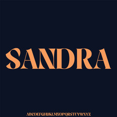 Elegant beautiful sans serif alphabet display font vector illustration