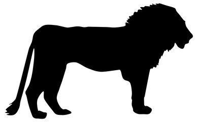 Lion Profile Silhouette
