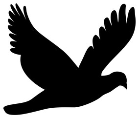 bird, silhouette, dove, eagle, vector, flying, wing, fly, pigeon, animal, illustration, tattoo, peace, wings, black, feather, symbol, nature, freedom, love, flight, birds, sign, raven, hawk