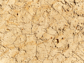 The ground exhibits a dry, cracked surface typical of drought conditions in an arid region. The texture reveals a lack of moisture and soil erosion. Small stones are visible among the cracks.