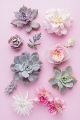 A stylish botanical background featuring a soft pastel-colored succulent viewed from above.