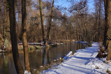 Winter landscape, along a hiking trail in Lübbenau in the Spreewald (Spree forest), Germany 