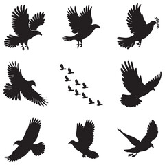 Silhouettes of wild birds in flight Raven Silhouette Pigeons Flying Silhouettes 6 Silhouettes – Birds