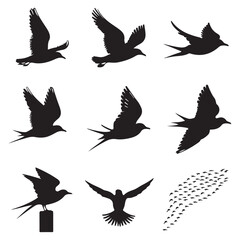 Silhouettes of wild birds in flight Raven Silhouette Pigeons Flying Silhouettes 6 Silhouettes – Birds
