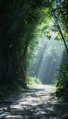 Obraz premium Tranquil Bamboo Forest Pathway with Sunlight - Nature Design for Calm and Peaceful Atmosphere