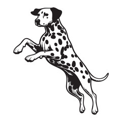 Hand Drawn Dalmatian Puppy Line Art Illustration in Ink Cute and simple Dalmatian Dog illustrations set 
