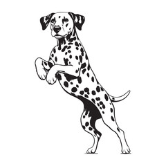 Hand Drawn Dalmatian Puppy Line Art Illustration in Ink Cute and simple Dalmatian Dog illustrations set 
