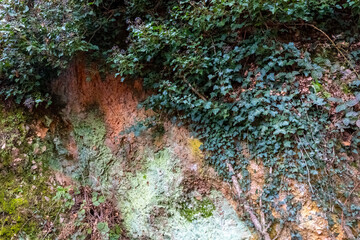 Colorful earthy texture blended with greenery in a natural setting during daylight hours