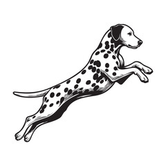 Hand Drawn Dalmatian Puppy Line Art Illustration in Ink Cute and simple Dalmatian Dog illustrations set 
