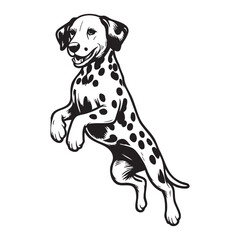 Hand Drawn Dalmatian Puppy Line Art Illustration in Ink Cute and simple Dalmatian Dog illustrations set 
