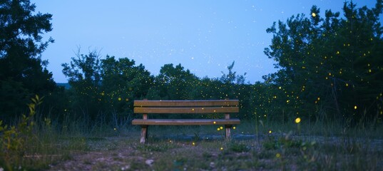 Obraz premium Charming park bench aglow with fireflies beneath a stunningly clear night sky filled with stars