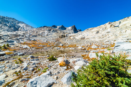 Rugged Alpine Environment In Wilderness
