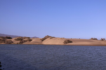 oasis in the dunes of las Palmas