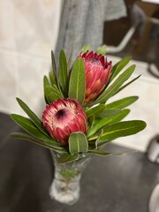 bouquet of Proteas