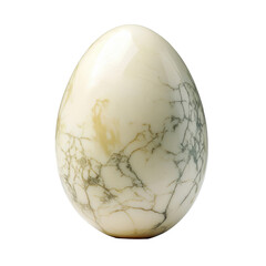 Egg with delicate markings on white background with soft lighting