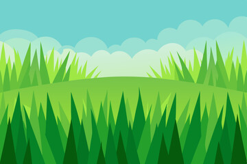 Obraz premium green grass and blue sky