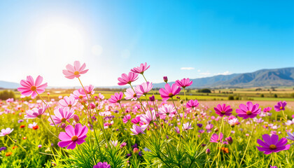 Vibrant pink flowers blooming in sunny field