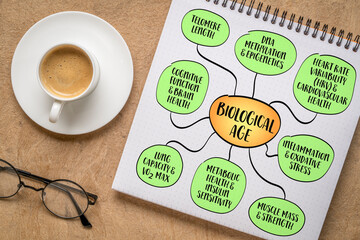 Key indicators of biological age which measures how well body functions compared to the average person of your chronological age. Infographics sketch.