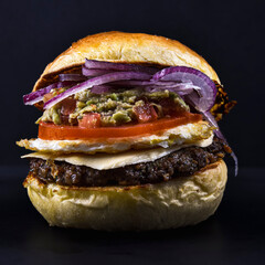 hamburger on a white background