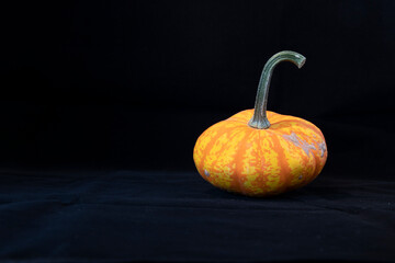pumpkin on black background