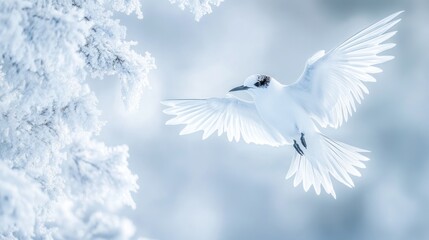 Obraz premium White bird in flight near snowy branches