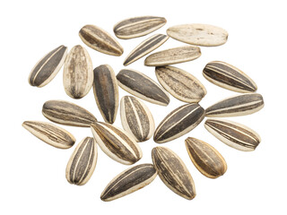 Obraz premium sunflower seeds t isolated on transparent background png