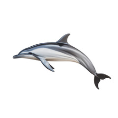 Obraz premium Graceful single common dolphin swimming in studio lighting