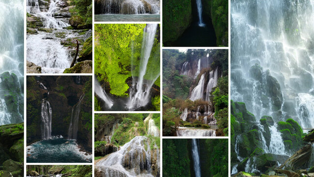 Nature View Split Transition