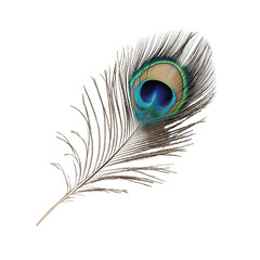 Obraz premium Elegant closeup of vibrant peacock feather on Transparent background