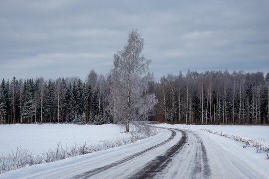 A winding snowy road leads through a winter landscape with frost-covered trees and a forest in the background under a cloudy sky. A peaceful rural scene.