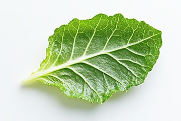 Fresh green leaf showcasing intricate vein patterns against a clean background isolated on transparent background