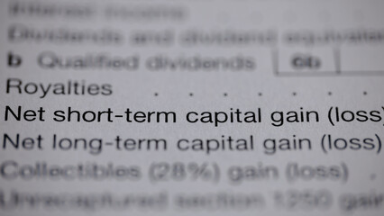 Tax form extract displaying sections for dividends, royalties, short-term and long-term capital...
