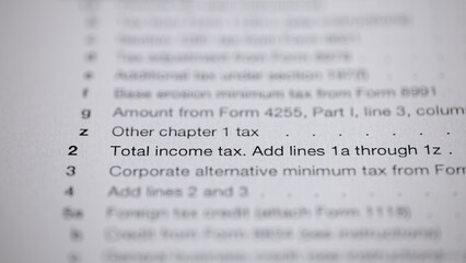 Tax Form: Income Tax Calculation. A close-up view of a tax document showing the calculation of...