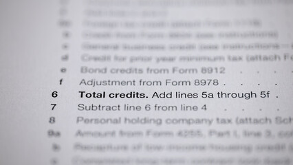 Tax Form Detail: Calculating Total Credits