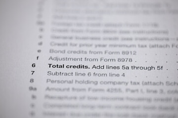 Tax Form Snippet: Total Credits Calculation