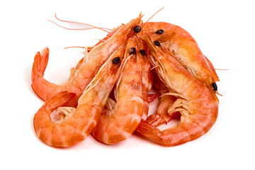 Shrimps, king prawns, isolated on white background.
