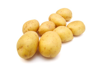 A new russet potato on white