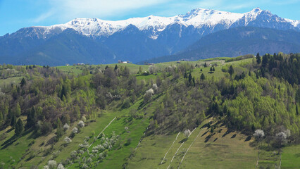 Fototapeta premium Landscape panorama of snowed mountains and spring green hills in Transylvania