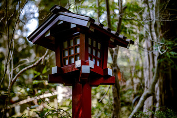 厳かな神社の参道 – 緑に包まれた朱塗りの灯籠」
