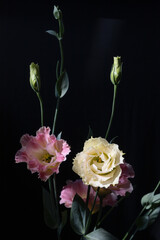 bouquet of eustoma