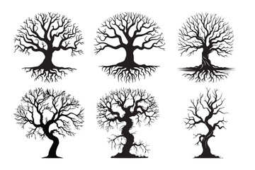 Black silhouette of a gnarled dry tree