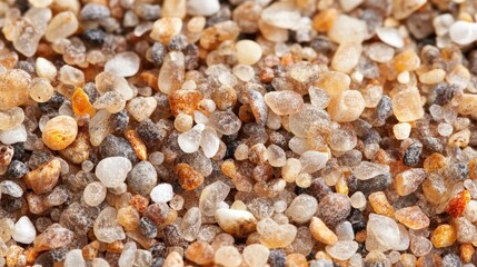 Texture of Coastal Sands: A detailed macro view of beach sand, showcasing the beauty and diversity of tiny mineral grains and shell fragments in shades of gold, beige, and grey.