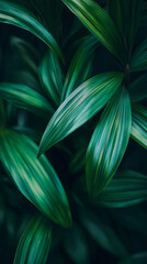 Obraz premium Green leaves interweaving, creating lush organic pattern showcasing natural texture and vivid botanical design for graphic backgrounds