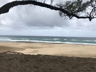 beach and sea