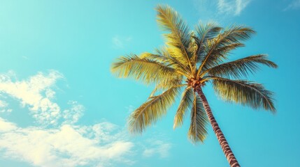 Tropical Paradise: A Palm Tree Against a Vibrant Blue Sky